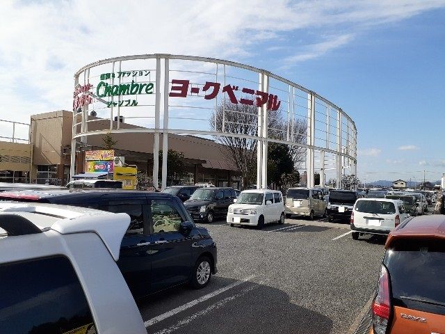近くのヨークベニマル石橋店まで800m(徒歩10分)