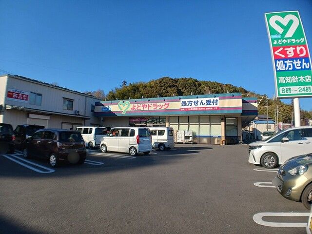 近くのよどやドラッグ高知針木店まで179m（徒歩3分）
