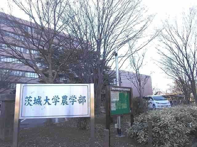 近くの茨城大学農学部まで1,300m（徒歩17分）