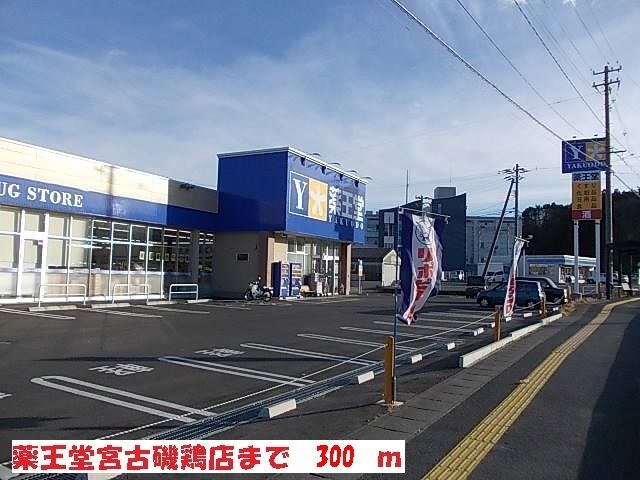 近くのドラッグストアまで300m（徒歩4分）