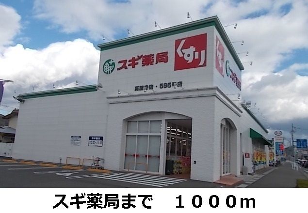 近くのスギ薬局まで1,000m（徒歩13分）