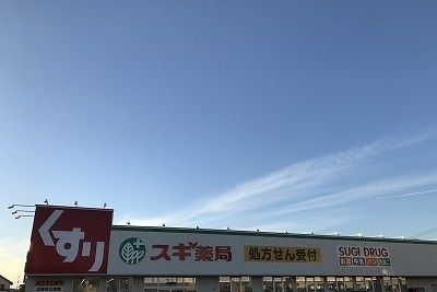 近くのスギ薬局沼津大岡店まで800m(徒歩10分)