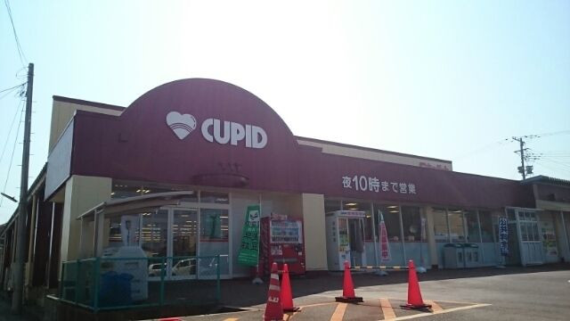 近くのキューピット 豊栄店まで800m（徒歩10分）