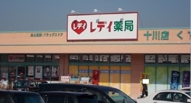 近くのレディ薬局十川店さんまで850m（徒歩11分）