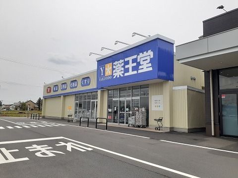 近くの薬王堂 SC水沢店まで2,200m(徒歩28分)