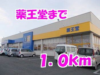 近くの薬王堂まで1,000m（徒歩13分）