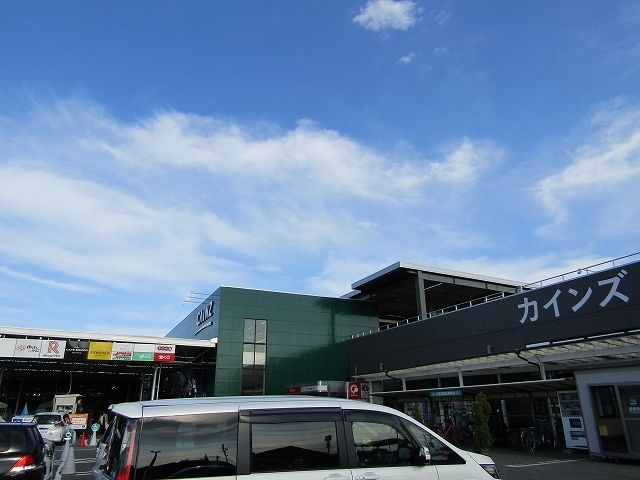 近くのカインズ茂原店まで500m（徒歩7分）