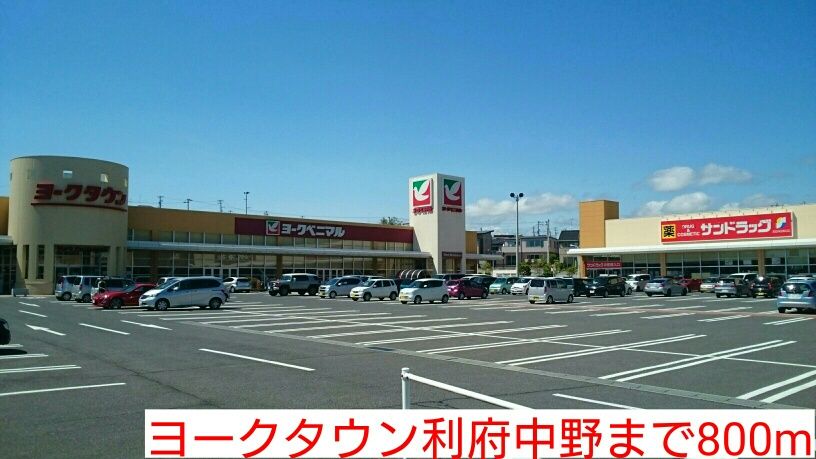 近くのヨークタウン利府中野まで800m（徒歩10分）