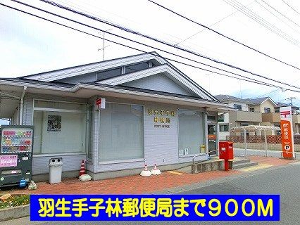 近くの羽生手子林郵便局まで900m（徒歩12分）
