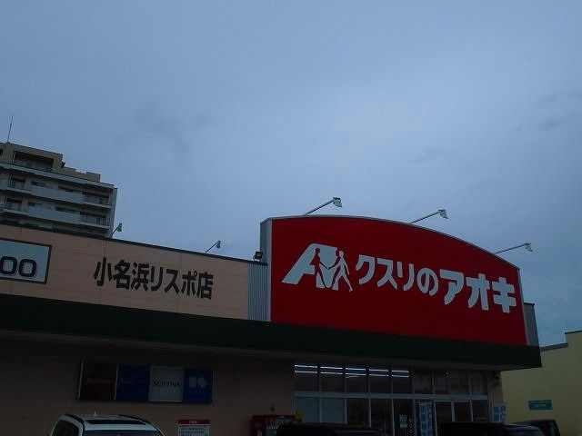 近くのクスリのアオキまで810m（徒歩11分）
