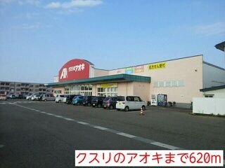 近くのクスリのアオキまで620m（徒歩8分）