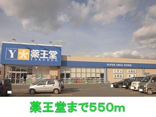 近くの薬王堂まで550m（徒歩7分）