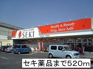 近くのセキ薬品まで520m（徒歩7分）