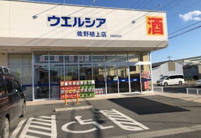 近くのウエルシア佐野植上店まで750m(徒歩10分)