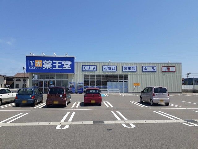 近くの薬王堂 山形余目店まで1,076m(徒歩14分)