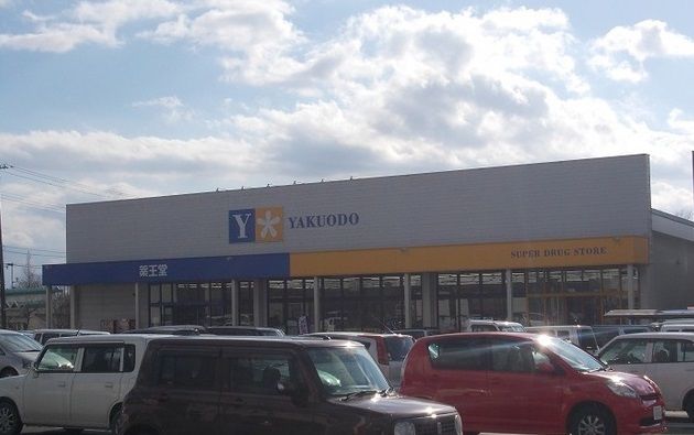 近くの薬王堂気仙沼田中前店まで1,000m(徒歩13分)