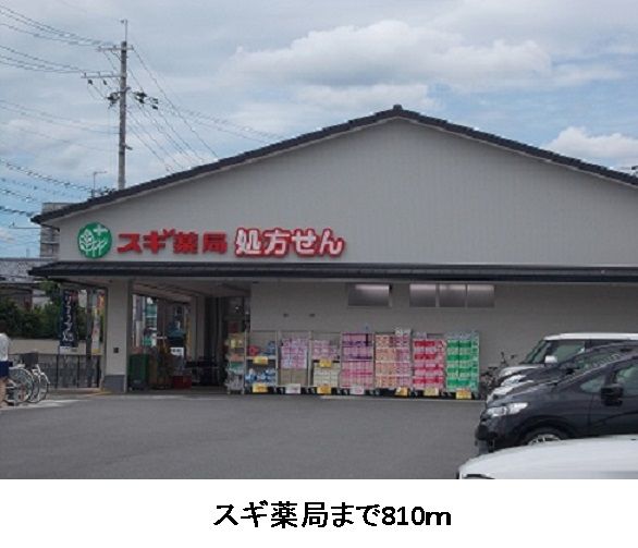 近くのスギ薬局まで810m（徒歩11分）