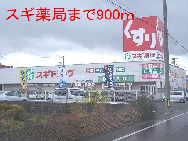 近くのスギ薬局　穂積店まで900m（徒歩12分）