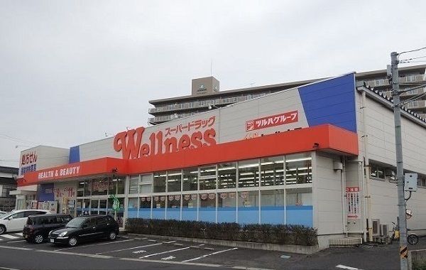 近くのウェルネス橋南店まで240m（徒歩3分）