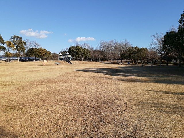 近くの公園まで806m（徒歩11分）