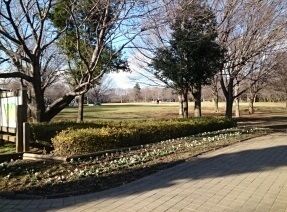 近くの青葉の森公園まで330m（徒歩5分）