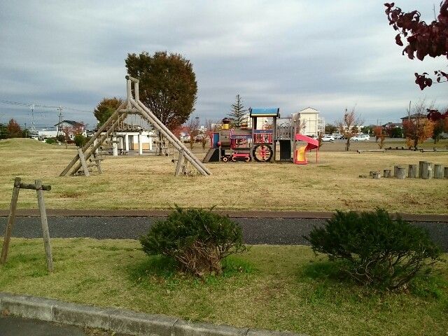 近くの公園まで800m（徒歩10分）