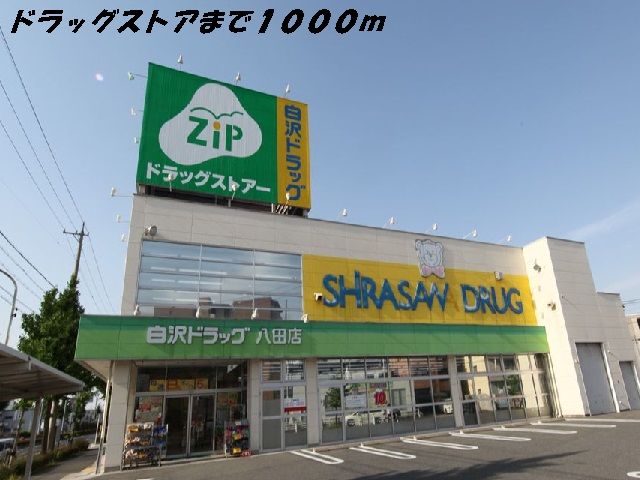 近くのドラッグストアまで1,000m（徒歩13分）