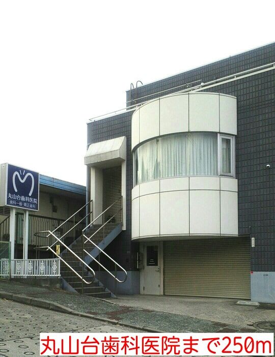 近くの丸山台歯科医院まで250m（徒歩4分）