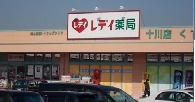 近くのレディ薬局十川店さんまで750m（徒歩10分）