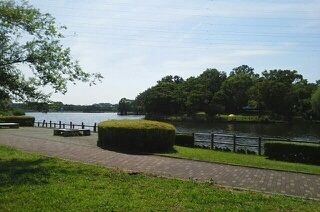 近くの門池公園まで1,000m（徒歩13分）