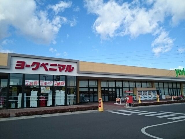 近くのヨークベニマル大平町店まで650m(徒歩9分)