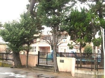 近くのちとせ保育園まで550m(徒歩7分)