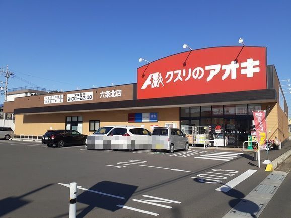 近くのクスリのアオキ六条北店まで260m（徒歩4分）