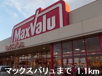 近くのマックスバリュまで1,100m（徒歩14分）