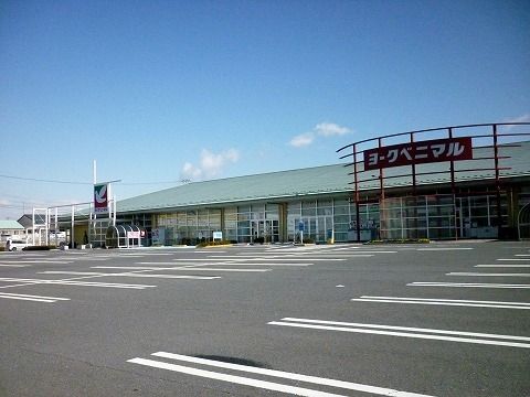近くのヨークベニマル八山田店まで1,500m（徒歩19分）
