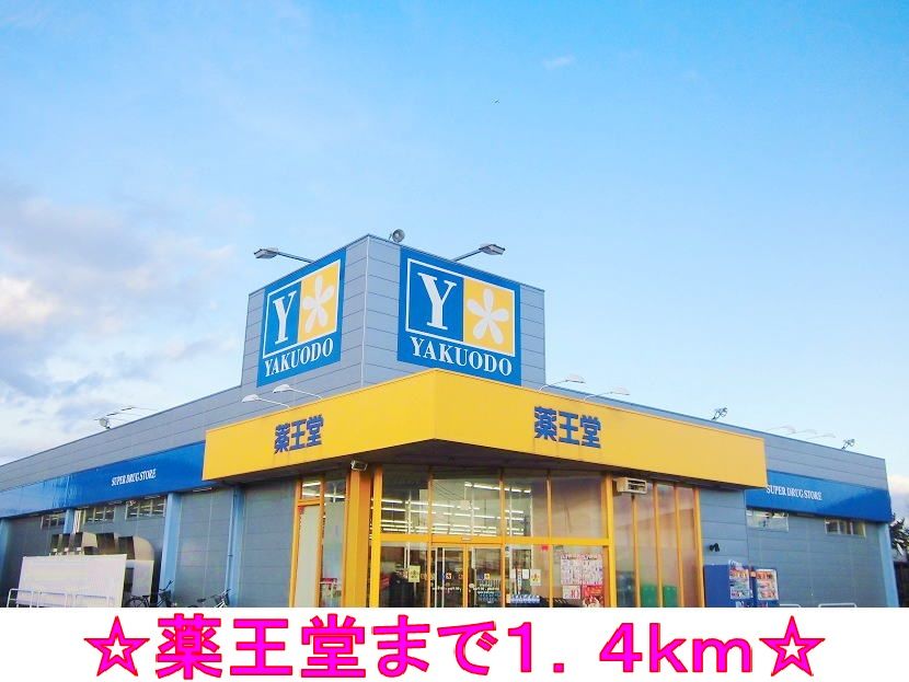 近くの薬王堂まで1,400m(徒歩18分)