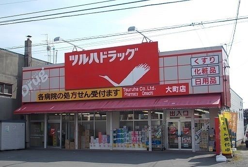 近くのドラッグストアまで300m（徒歩4分）