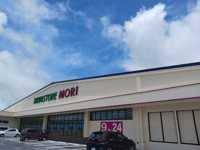 近くのドラッグストアモリ向陽高校前店まで510m（徒歩7分）