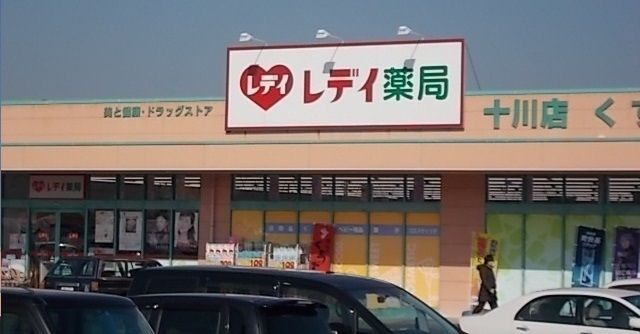 近くのレディ薬局十川店さんまで1,500m(徒歩19分)
