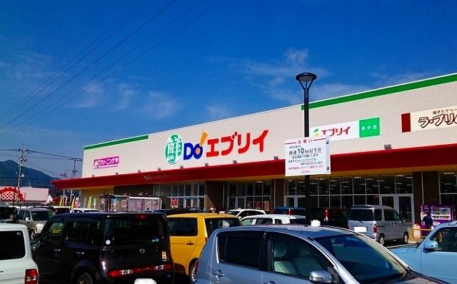 近くのエブリィ府中店まで600m(徒歩8分)