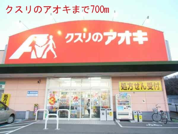 近くのクスリのアオキまで700m（徒歩9分）