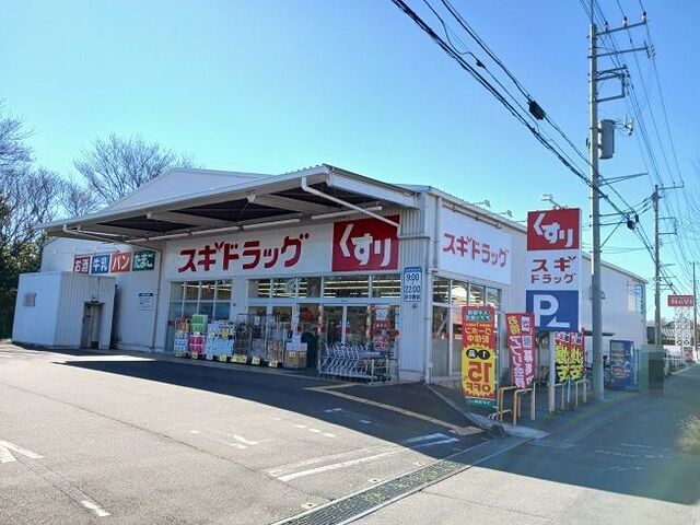 近くのスギドラッグ上尾地頭方店まで750m（徒歩10分）