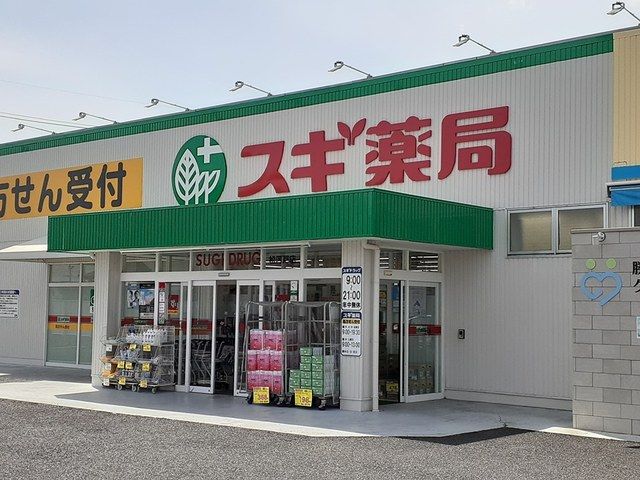 近くのスギドラッグ松河戸店まで550m(徒歩7分)