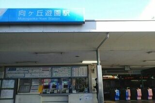 近くの向ヶ丘遊園駅まで250m（徒歩4分）