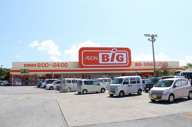 近くのザ・ビッグ田場店まで750m（徒歩10分）