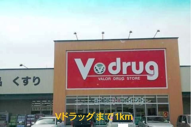 近くのVドラッグまで1,000m(徒歩13分)