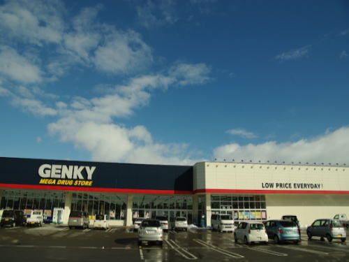 近くのゲンキー 大野店まで1,100m(徒歩14分)