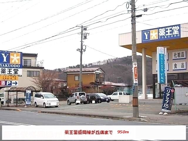 近くの薬王堂盛岡緑が丘店まで950m(徒歩12分)