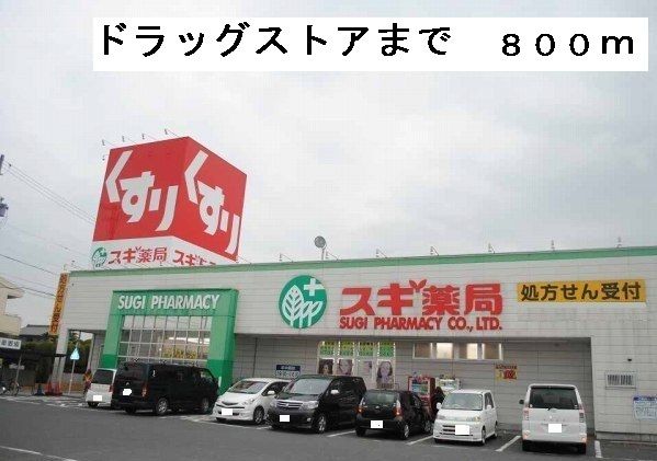 近くのスギ薬局まで800m(徒歩10分)