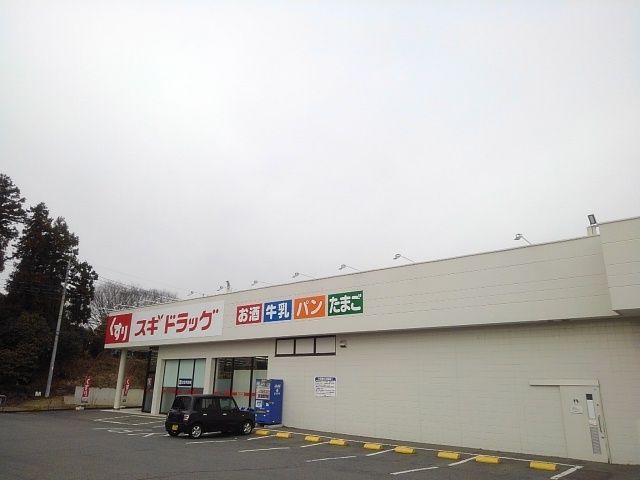 近くのドラッグストアまで300m（徒歩4分）